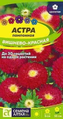 Астра помпонная Вишнево-Красная Цв.п 0,2 гр (Сем Алт )