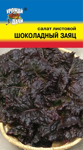 Салат Шоколадный Заяц  цв.п. 0,5 гр /Урожай Удачи