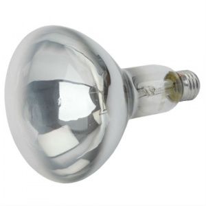 Лампа накаливания ЭРА ИКЗ 220-250 R127 E27  250Вт 2596К