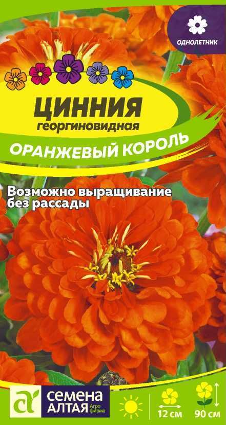 Цинния Оранжевый король георгиноцветковая Цв.п 0,3 гр (Сем Алт )